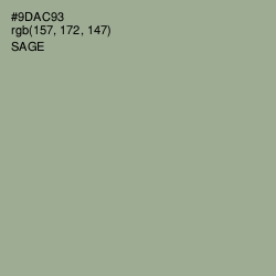 #9DAC93 - Sage Color Image