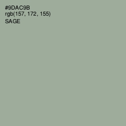 #9DAC9B - Sage Color Image