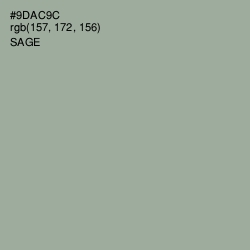 #9DAC9C - Sage Color Image