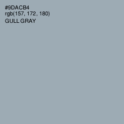 #9DACB4 - Gull Gray Color Image