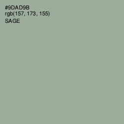 #9DAD9B - Sage Color Image
