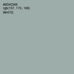 #9DADA9 - Pewter Color Image