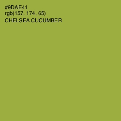 #9DAE41 - Chelsea Cucumber Color Image