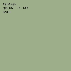 #9DAE8B - Sage Color Image