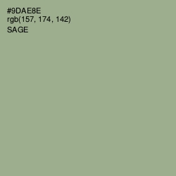 #9DAE8E - Sage Color Image
