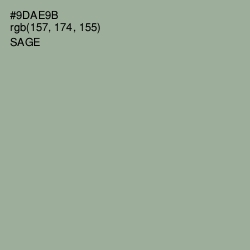 #9DAE9B - Sage Color Image