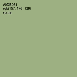 #9DB081 - Sage Color Image