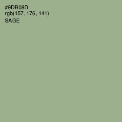 #9DB08D - Sage Color Image