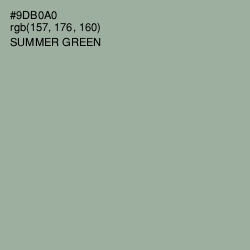 #9DB0A0 - Summer Green Color Image