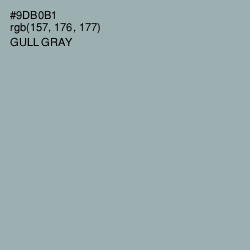 #9DB0B1 - Gull Gray Color Image