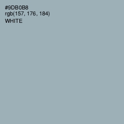 #9DB0B8 - Gull Gray Color Image