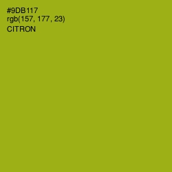 #9DB117 - Citron Color Image