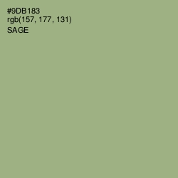 #9DB183 - Sage Color Image