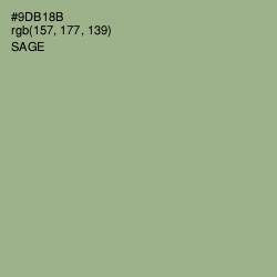 #9DB18B - Sage Color Image
