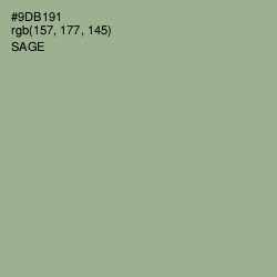 #9DB191 - Sage Color Image
