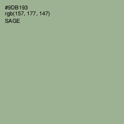 #9DB193 - Sage Color Image