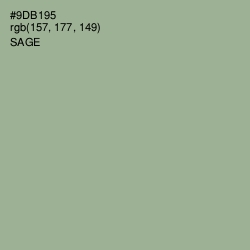#9DB195 - Sage Color Image