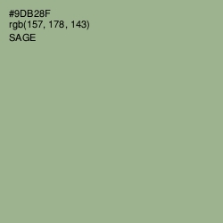 #9DB28F - Sage Color Image