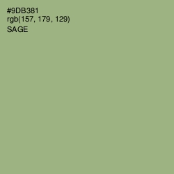 #9DB381 - Sage Color Image