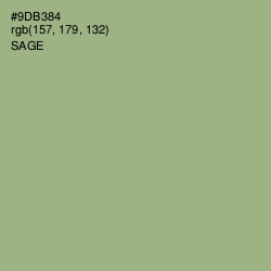#9DB384 - Sage Color Image