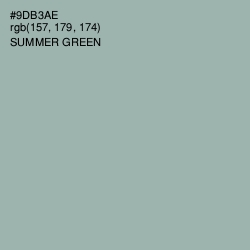 #9DB3AE - Summer Green Color Image