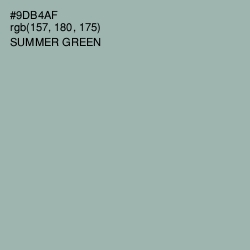 #9DB4AF - Summer Green Color Image