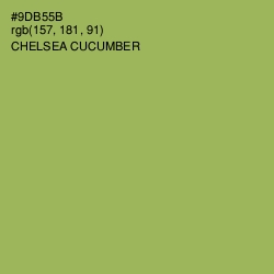 #9DB55B - Chelsea Cucumber Color Image
