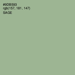 #9DB593 - Sage Color Image