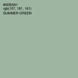 #9DB5A1 - Summer Green Color Image