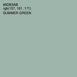 #9DB5AB - Summer Green Color Image