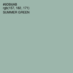 #9DB6AB - Summer Green Color Image