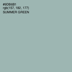 #9DB6B1 - Summer Green Color Image