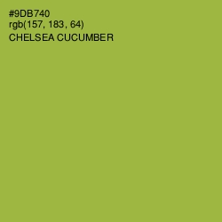 #9DB740 - Chelsea Cucumber Color Image