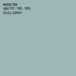 #9DB7B9 - Gull Gray Color Image