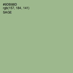 #9DB88D - Sage Color Image