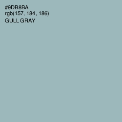#9DB8BA - Gull Gray Color Image