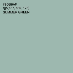 #9DB9AF - Summer Green Color Image