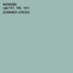 #9DB9B5 - Summer Green Color Image