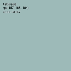 #9DB9B8 - Gull Gray Color Image