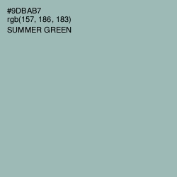 #9DBAB7 - Summer Green Color Image