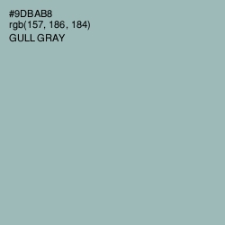 #9DBAB8 - Gull Gray Color Image