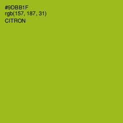 #9DBB1F - Citron Color Image