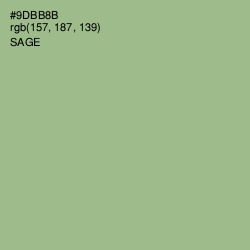 #9DBB8B - Sage Color Image