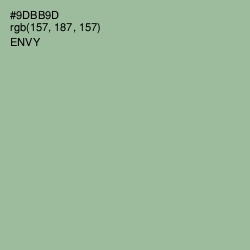 #9DBB9D - Envy Color Image