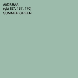 #9DBBAA - Summer Green Color Image