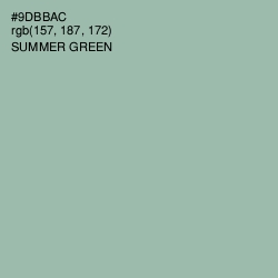 #9DBBAC - Summer Green Color Image