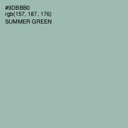 #9DBBB0 - Summer Green Color Image