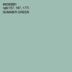 #9DBBB1 - Summer Green Color Image