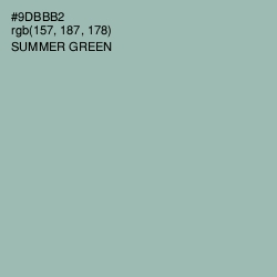 #9DBBB2 - Summer Green Color Image