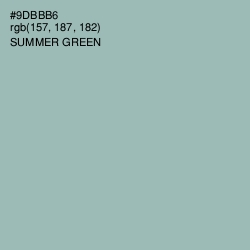 #9DBBB6 - Summer Green Color Image